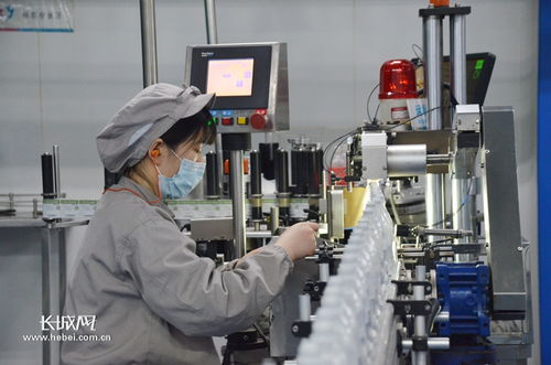 石家庄四药 三驾马车齐发力，一季度外贸销售额增长28.71% 产品快步走向世界
