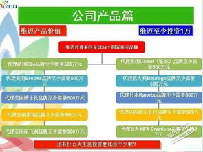 深耕日用品贸易 零售与批发进口的战略布局与市场机遇